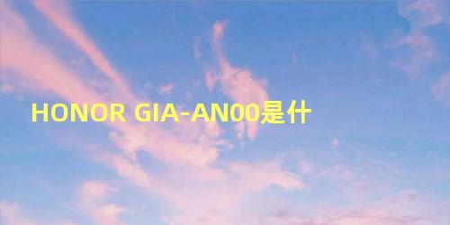 HONOR GIA-AN00是什么型号